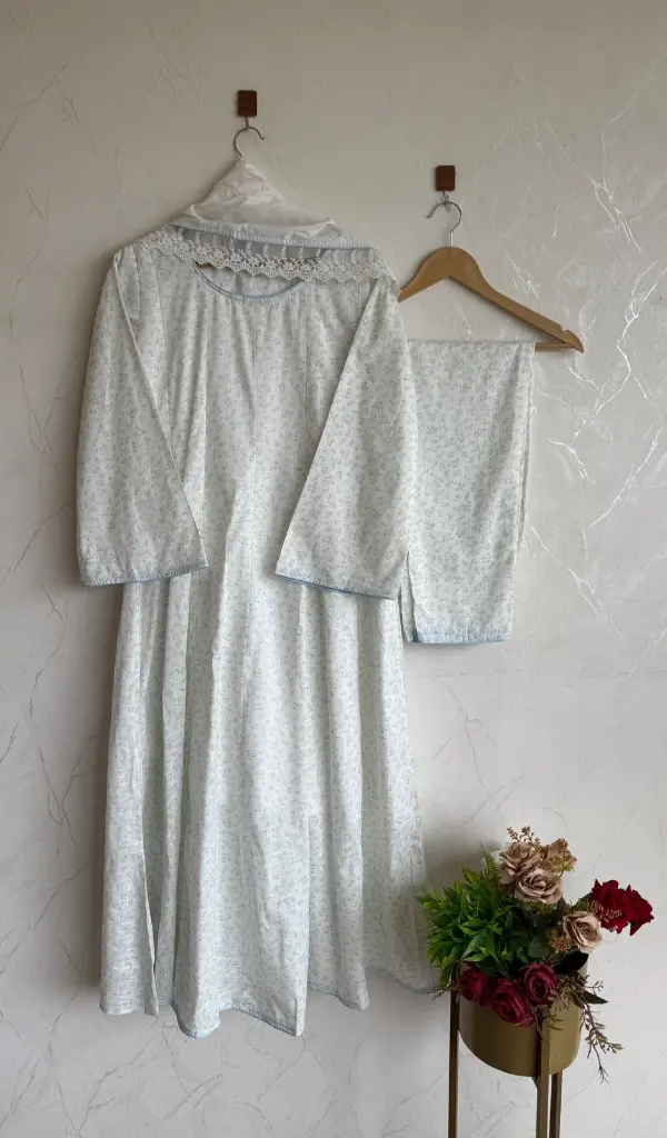 ps0481 (2).webp